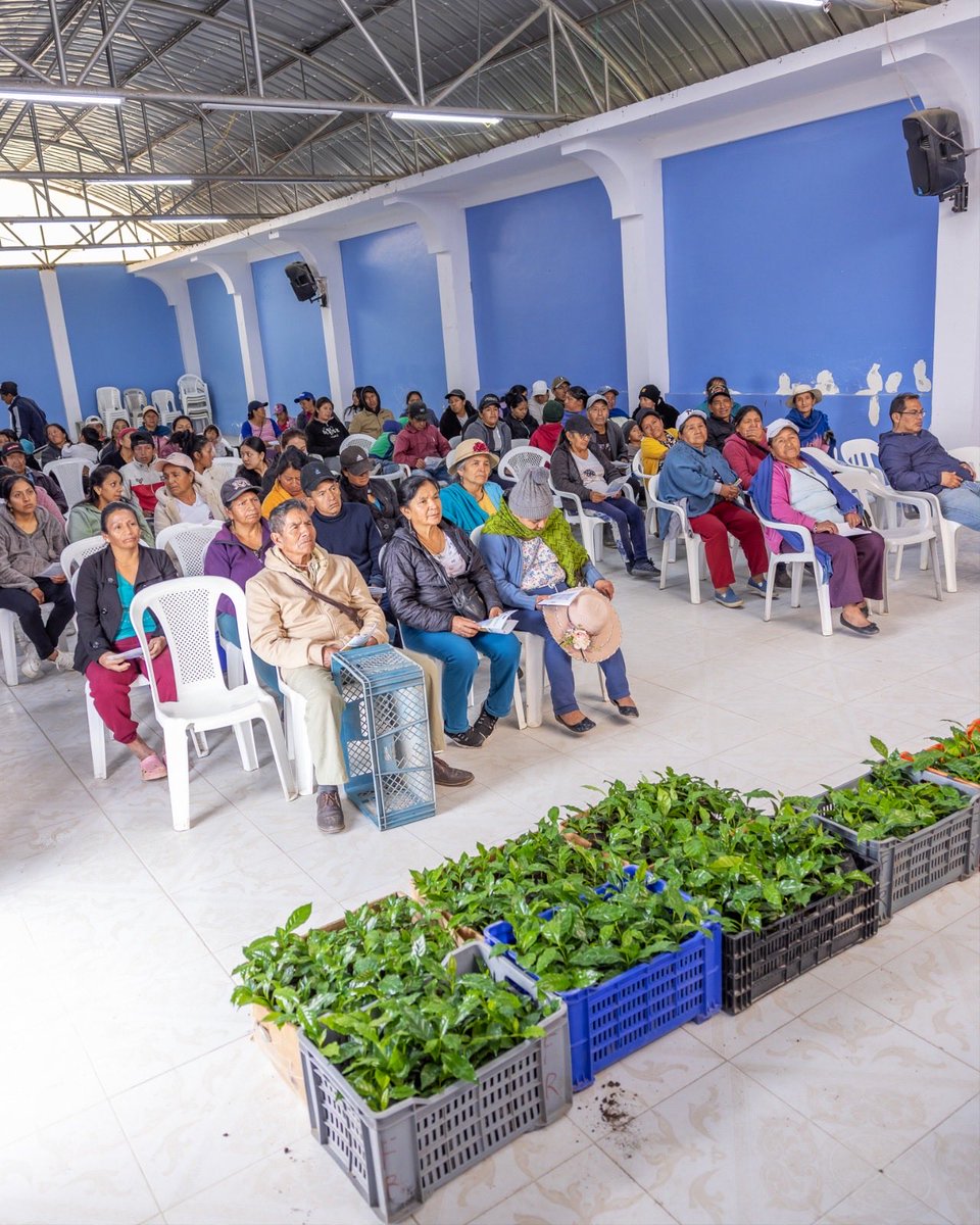 🌱 Entregamos plantas de café en el barrio Cera, parroquia Taquil, fortaleciendo la producción local y el trabajo de los pequeños productores. ☕️

#MunicipioDeLoja #TrabajoEnMarchaPorLoja