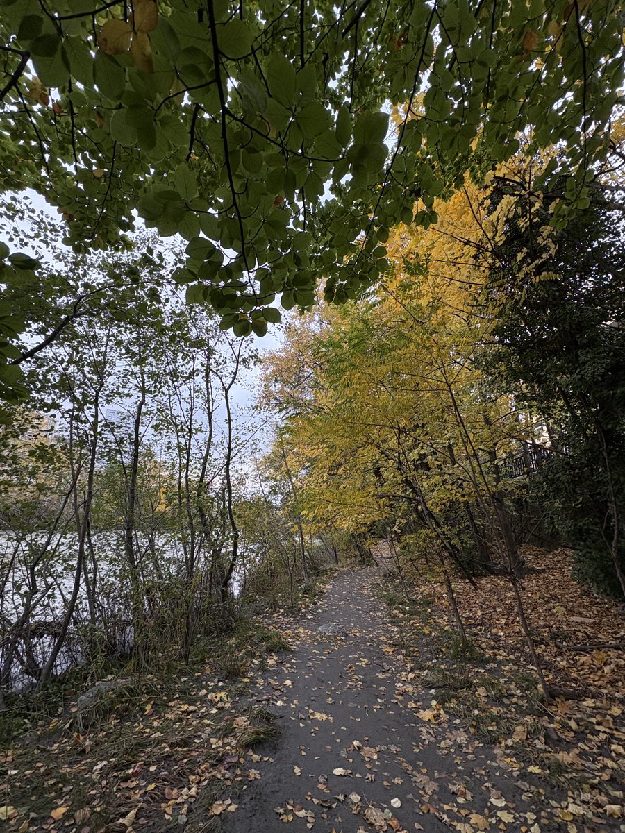 GmurHelen's tweet photo. #Sunday #afternoon 13Km #job #run #walk done
#Outside is free
#Nature #Leaves #River #Arve #Carouge #Genève #Suisse 🇨🇭#Bridge #Rolex
https://t.co/X635sHhpSD
#Geneva #Switzerland https://t.co/FFNXWRU4By
