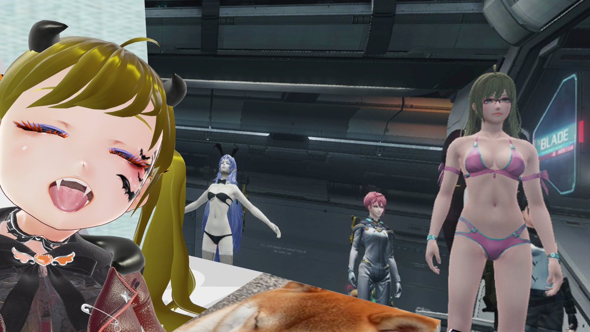 ぬっこ (@vcnukko) / Posts / X