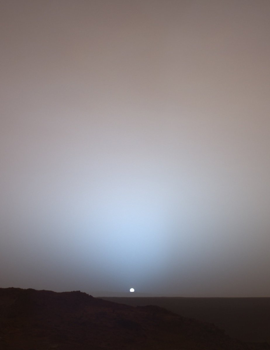 Night Sky Today tweet media