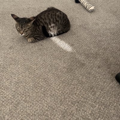 CtrlDbz's tweet photo. #NewProfilePic https://t.co/axISdYHo3W