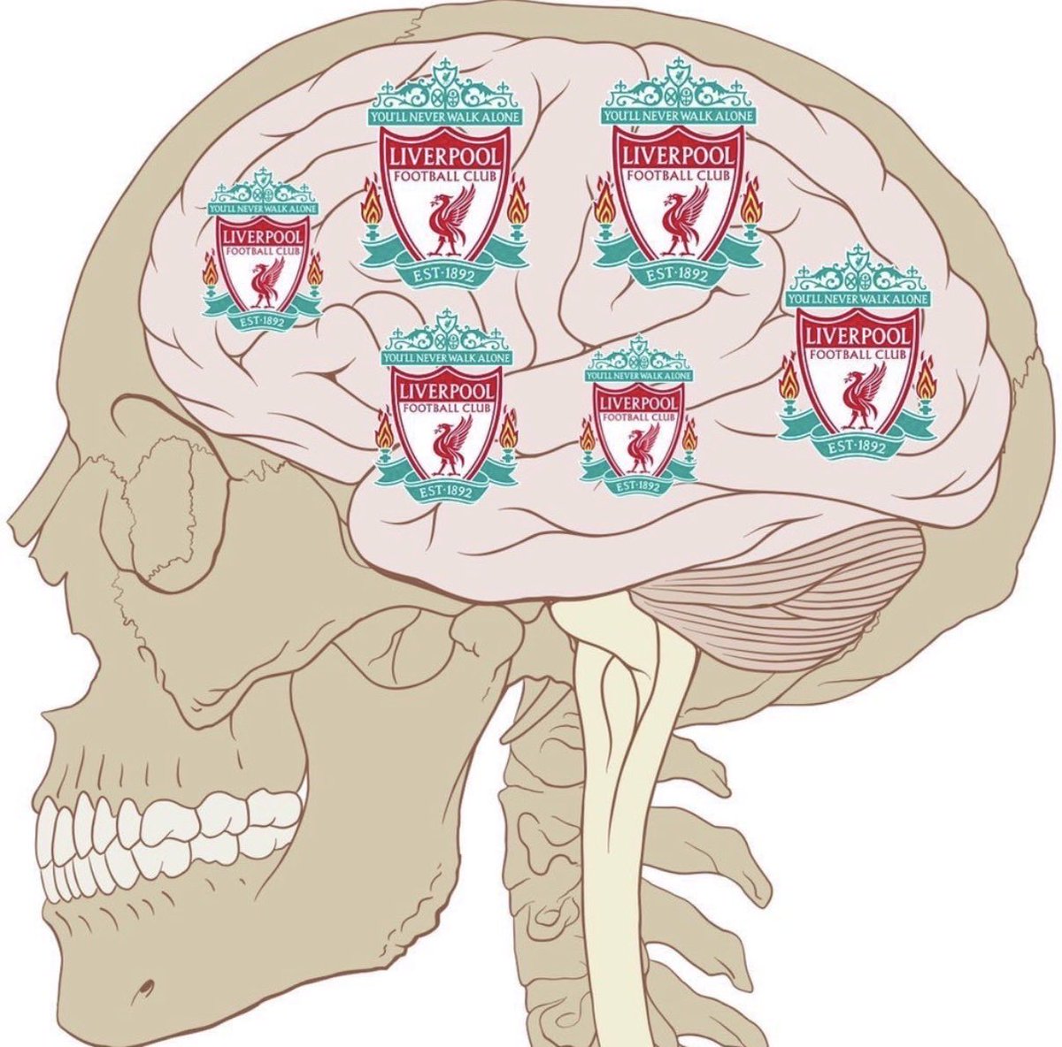 Chris Russell tweet media