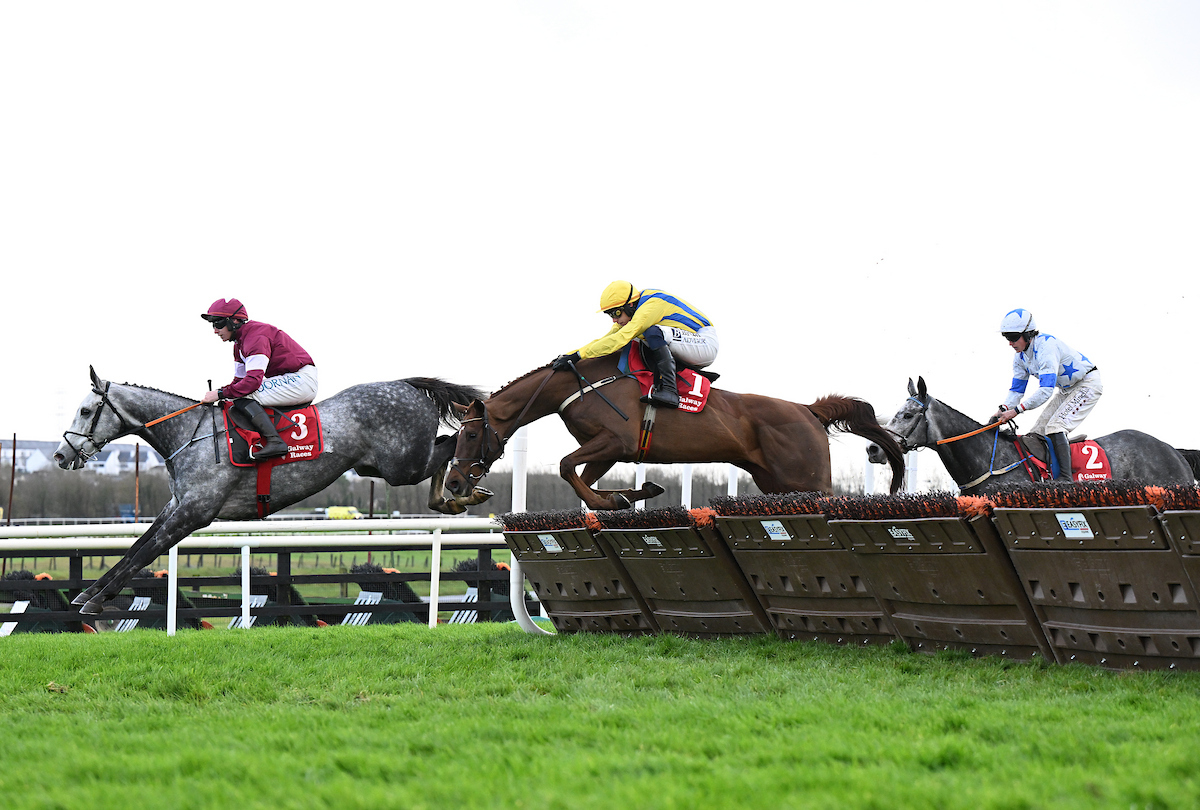 Galway_Races tweet picture