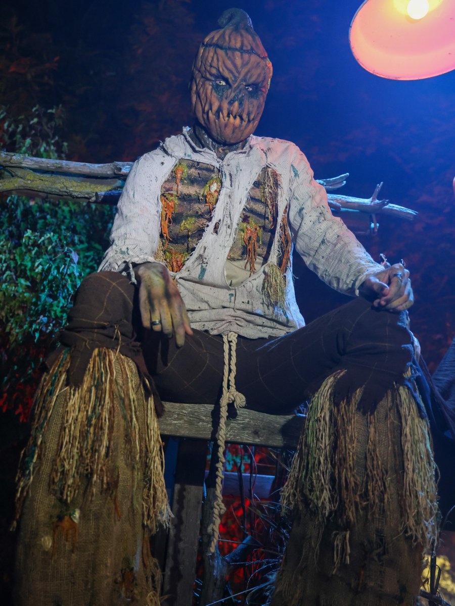 Oh my GOURD! Did you know today is #NationalPumpkinDay? 🎃