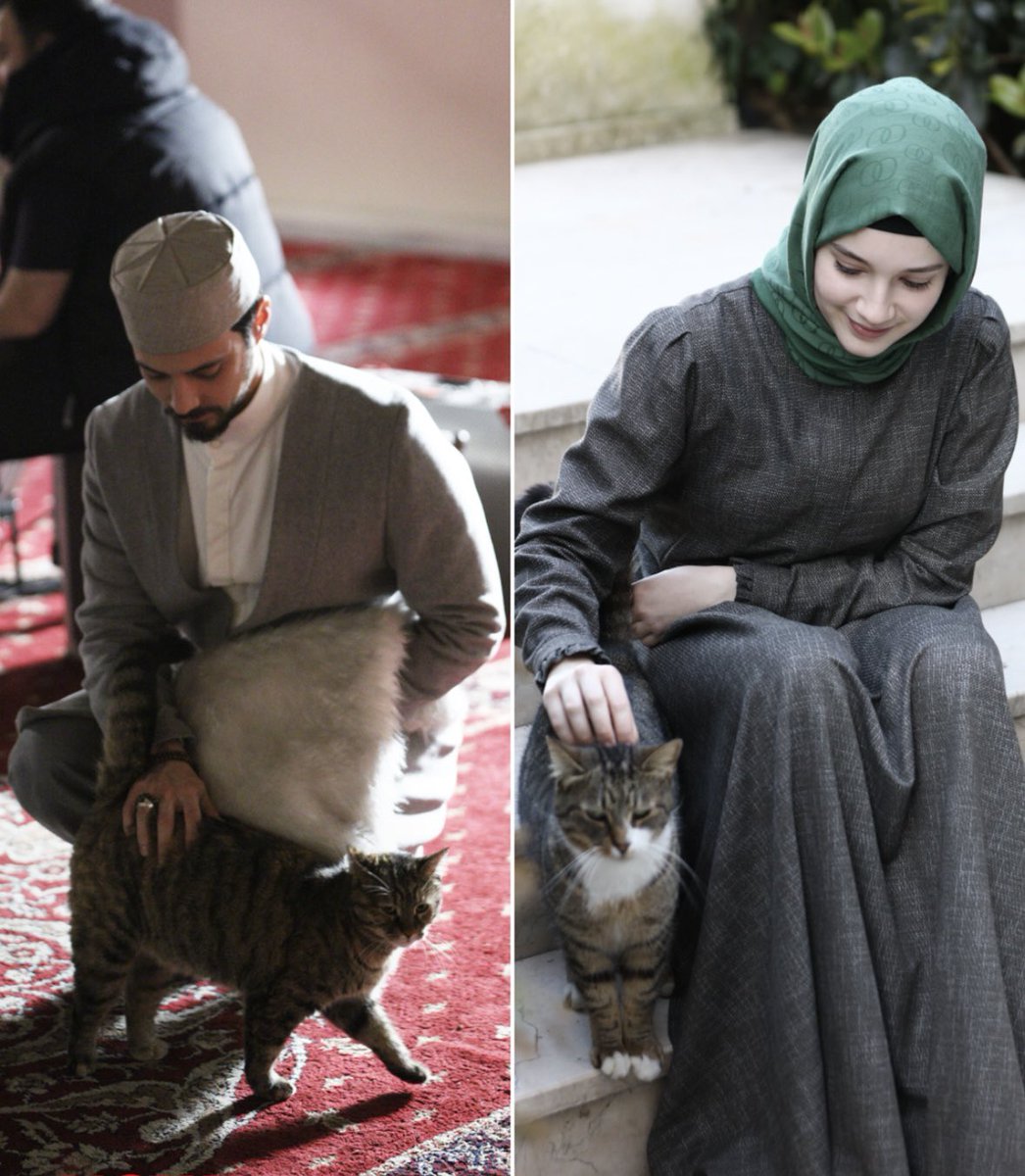 havinql's tweet image. Onların hayvan sevgisi 💞

#MinMer