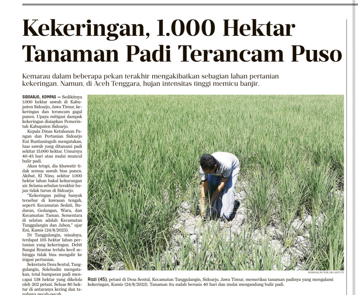 Marlistya Citraningrum tweet media