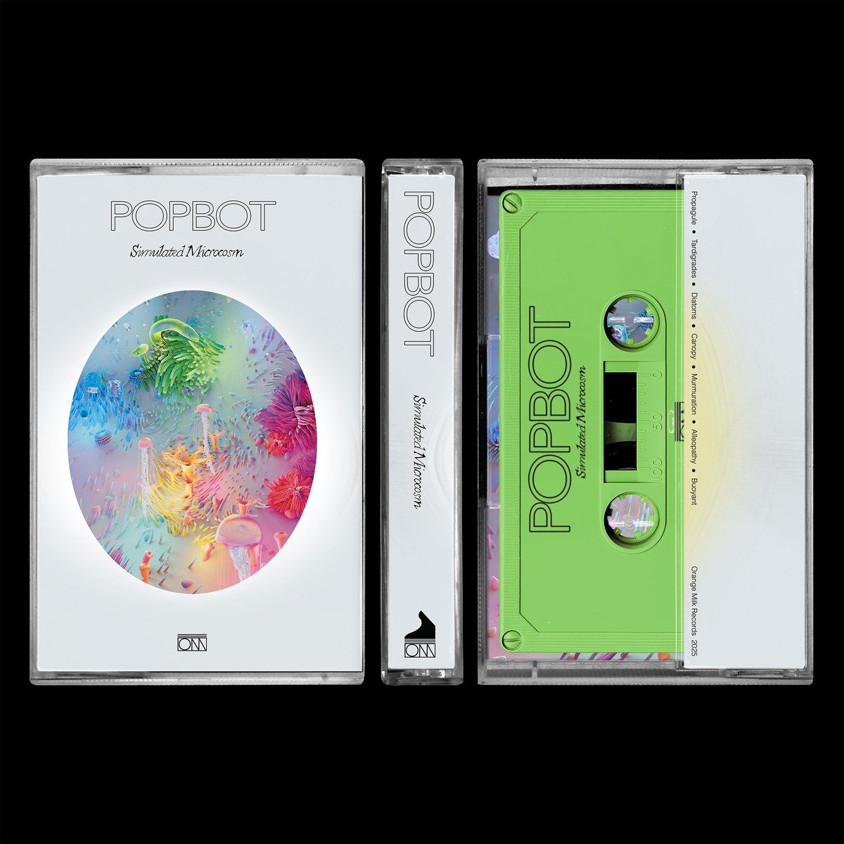 🦋popbot.work🦋 tweet media