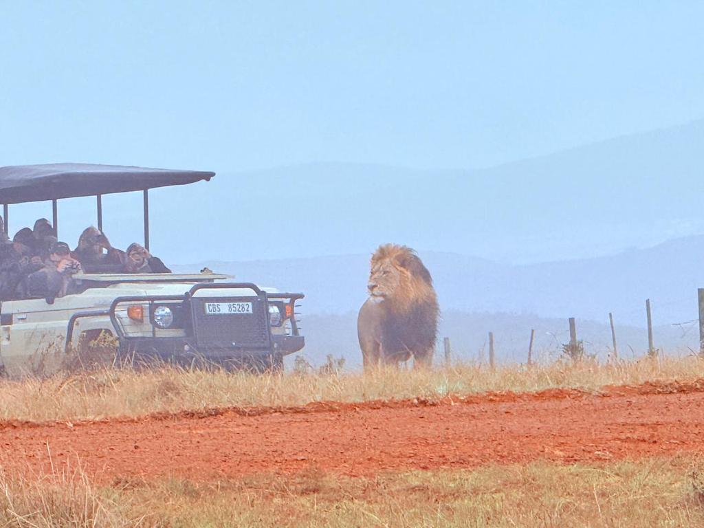 TravelBluez tweet media