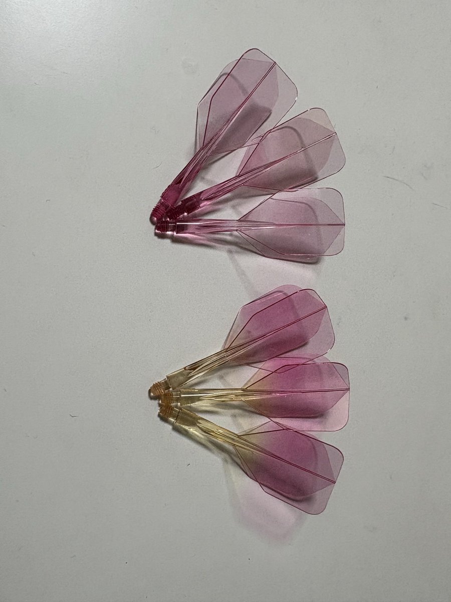 実はこんなことも
やってみたりしてるんですわ！笑