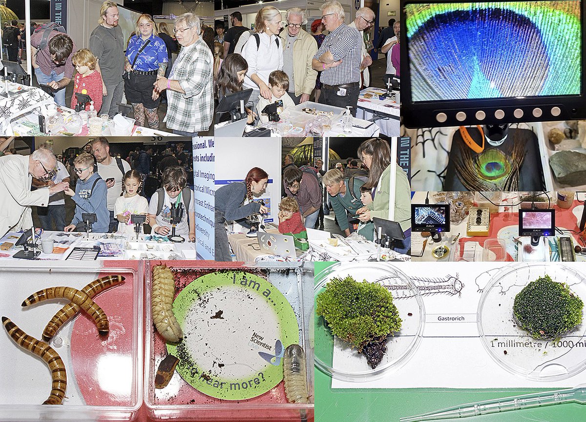 Quekett Microscopy tweet media