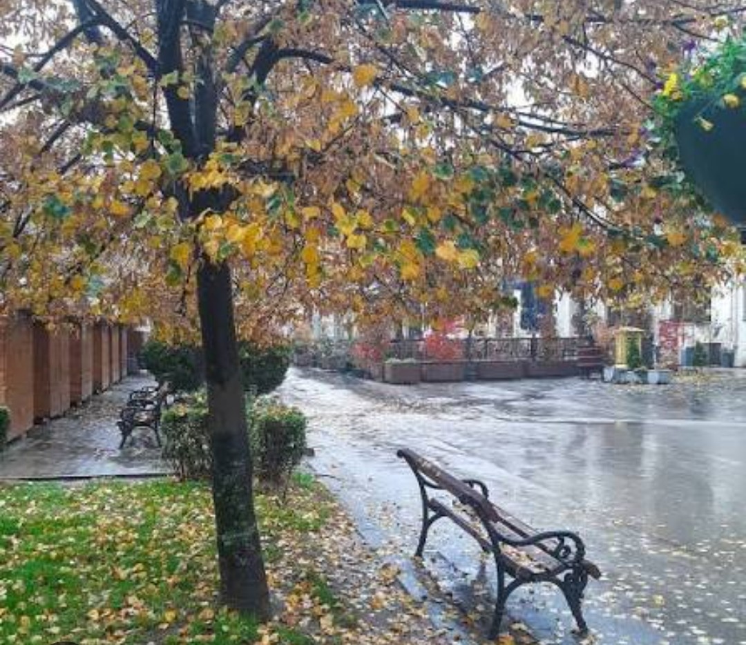 PredragMmM's tweet image. Jesenji kišni dan!