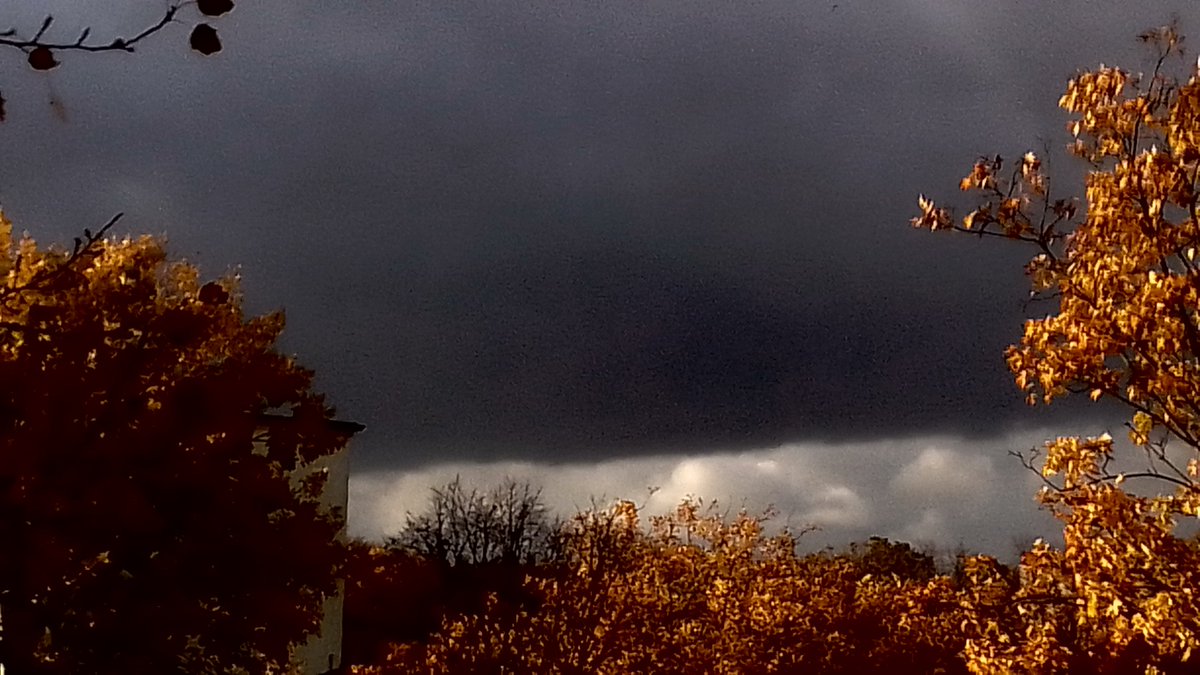 Autumn in #Berlin. #StormHour 
#Autumn 
#AutumnVibes 
#Herbst