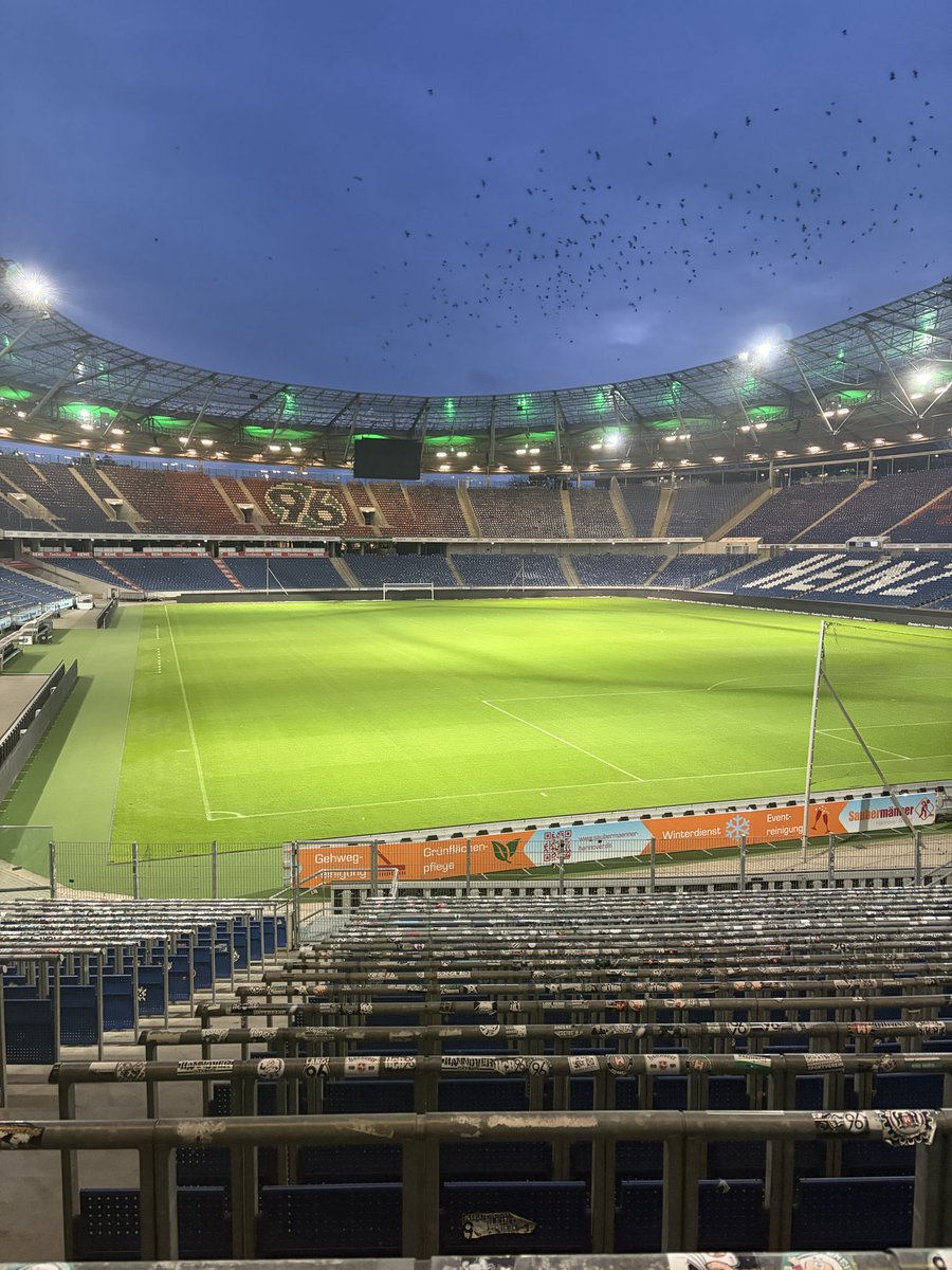 Wolf 🦦🦝 Doppelter Derbysieger 🖤🤍💚 tweet media