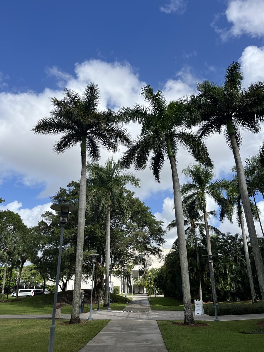 A pleasure to return to the wonderful city of Miami to present at this year’s #FACON25 hosted by <a href="/FulbrightPrgrm/">The Fulbright Program</a> to present on our research abroad funded through the U.S. Fulbright Student Program!