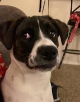 Cuando se cae Yape toda la vida hay idiotas que lloran porque no tienen 20 soles mínimo en efectivo, qué clase de gente depende de yape para pagar un pasaje, pan o algo básico, ya dejen de ser tan tarados y tengan dinero en efectivo.
Cuando se caiga por días se mueren de hambre🙄