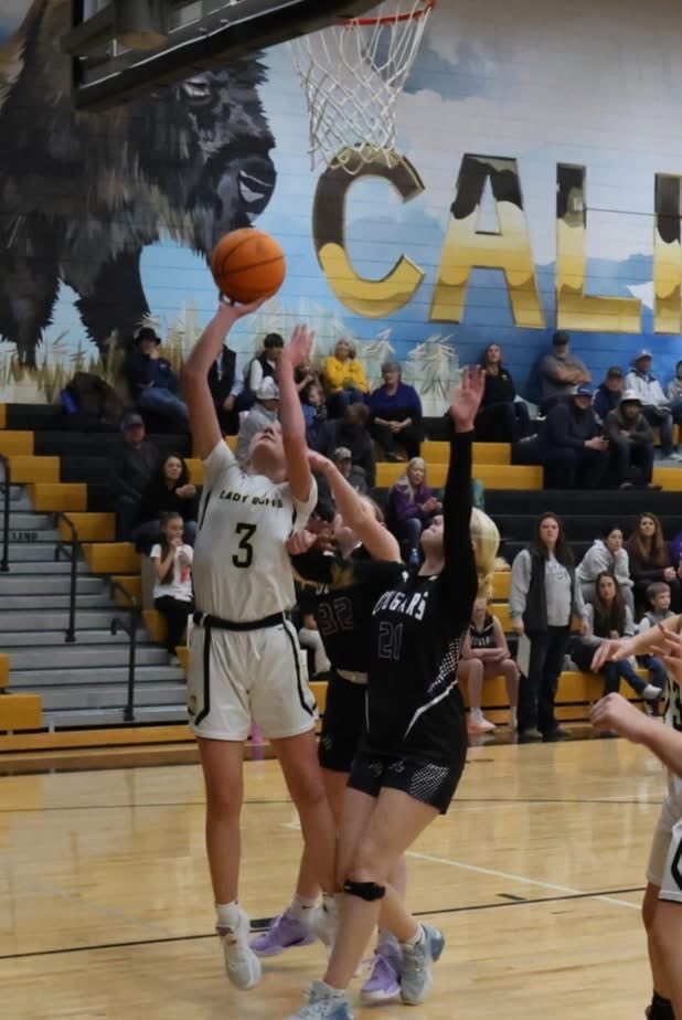 24MD Team Daum tweet media