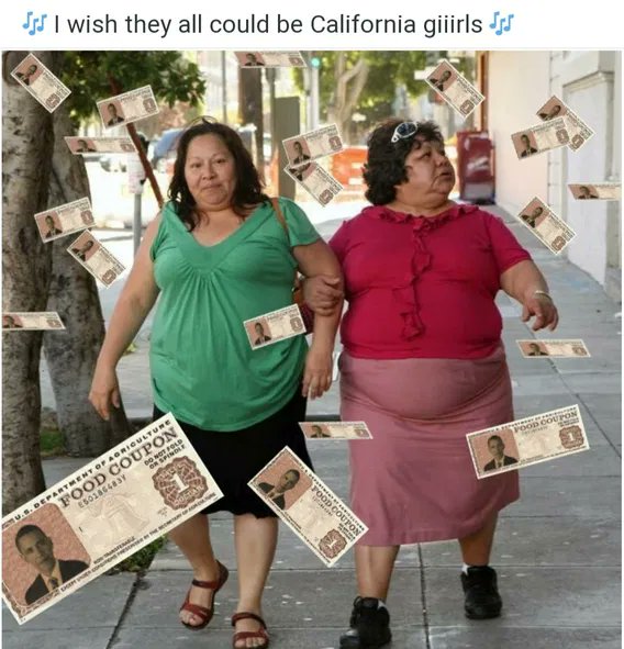 jamesperloff2's tweet image. Seen on Gab