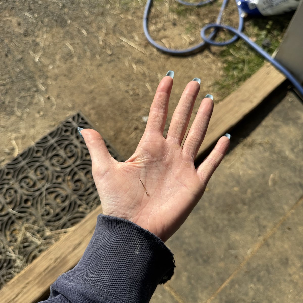 horseware enthusiast tweet media