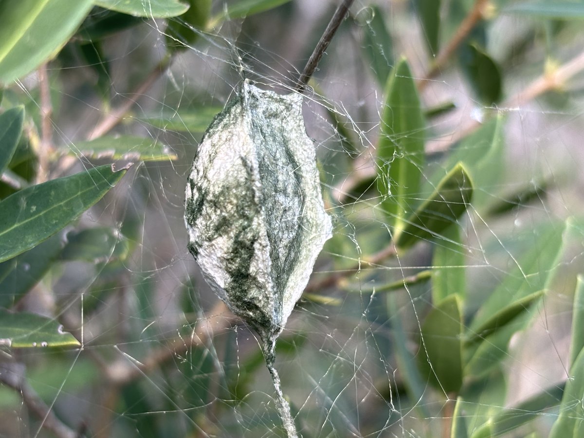 Reefpaths tweet media