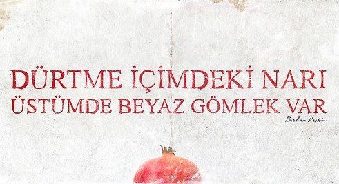 Birhan Keskin, Penguen 2:

O büyük ve muazzam zamanda unuttum
Kanatlarım çok oldu üşüyor benim
Bu beyaz ıssızlıkta göğsüme düşüyor
Bu yüzden eğik boynum.
Bir kuşun anısı kalmış bende, saklı
Bundan gözlerimdeki kayalık,
İçimdeki serseri buzullar
Dürtme içimdeki narı
Üstümde beyaz