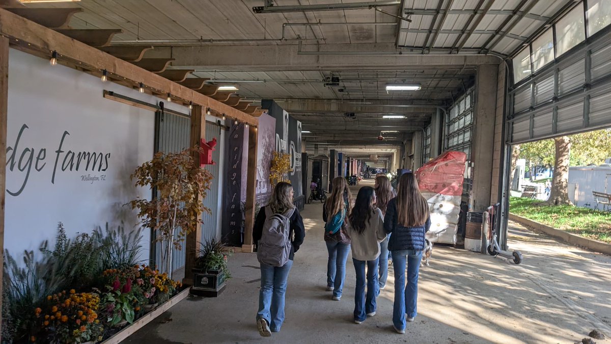 Page High FFA tweet media