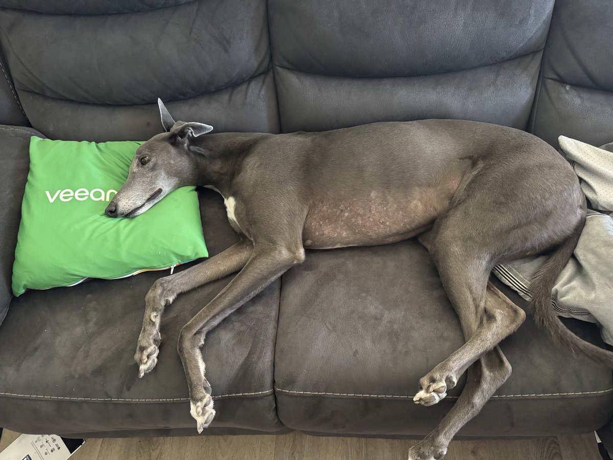 This is what we go to #VeeamOn for 😂