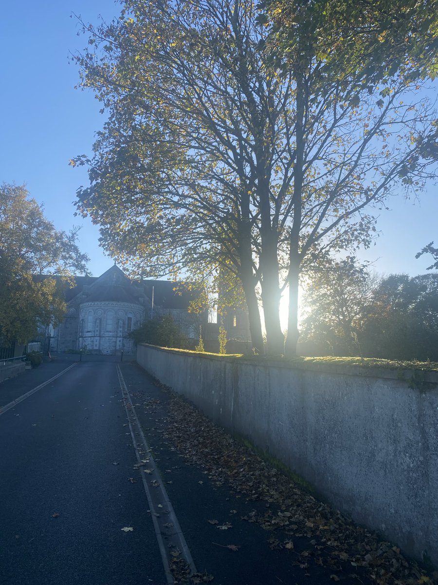 Angel of God, my guardian dear, to whom God's love commits me here, ever this day be at my side, to light and guard, rule and guide. Amen.