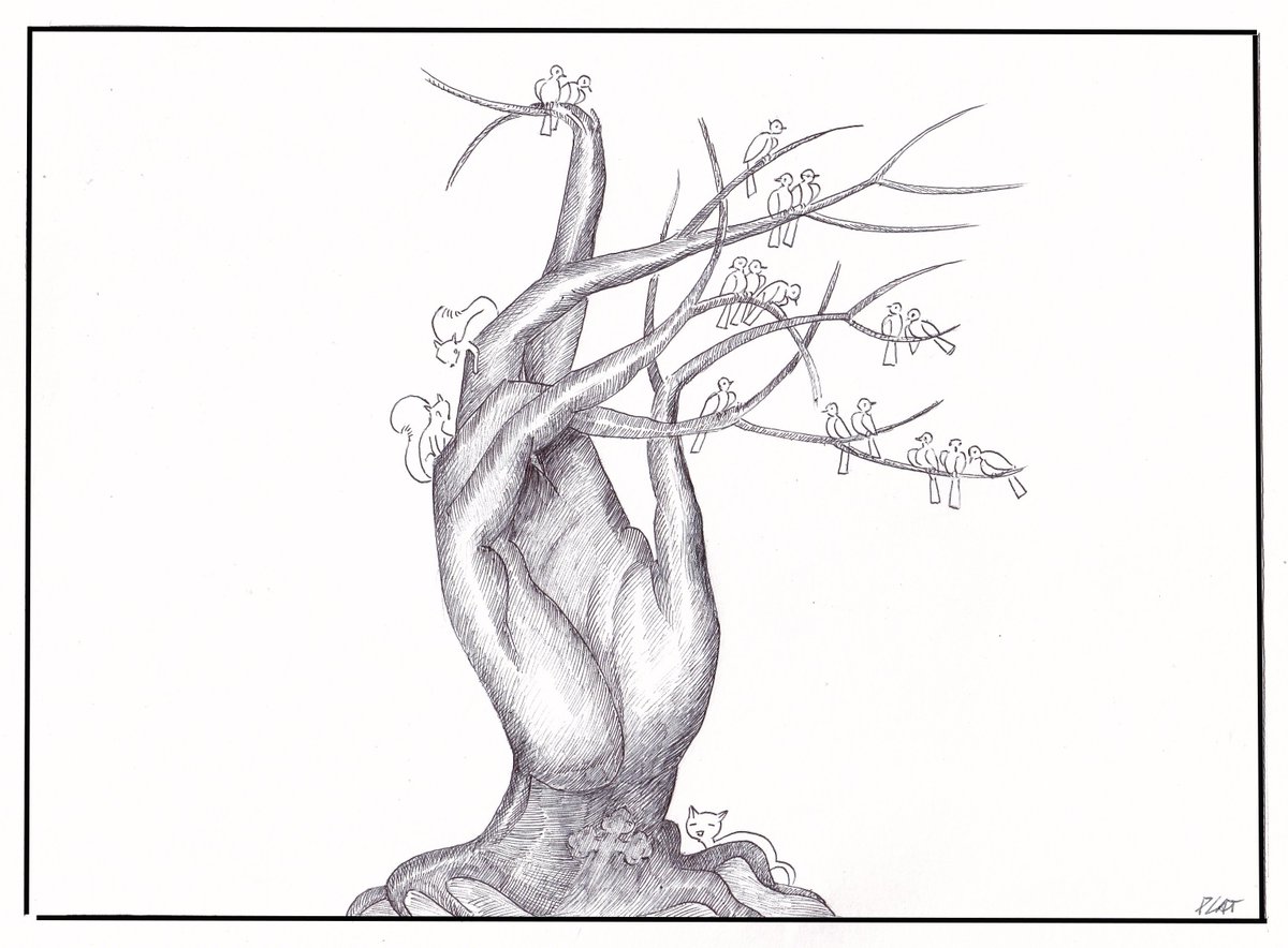 Mi viñeta.
Los árboles son sagrados.