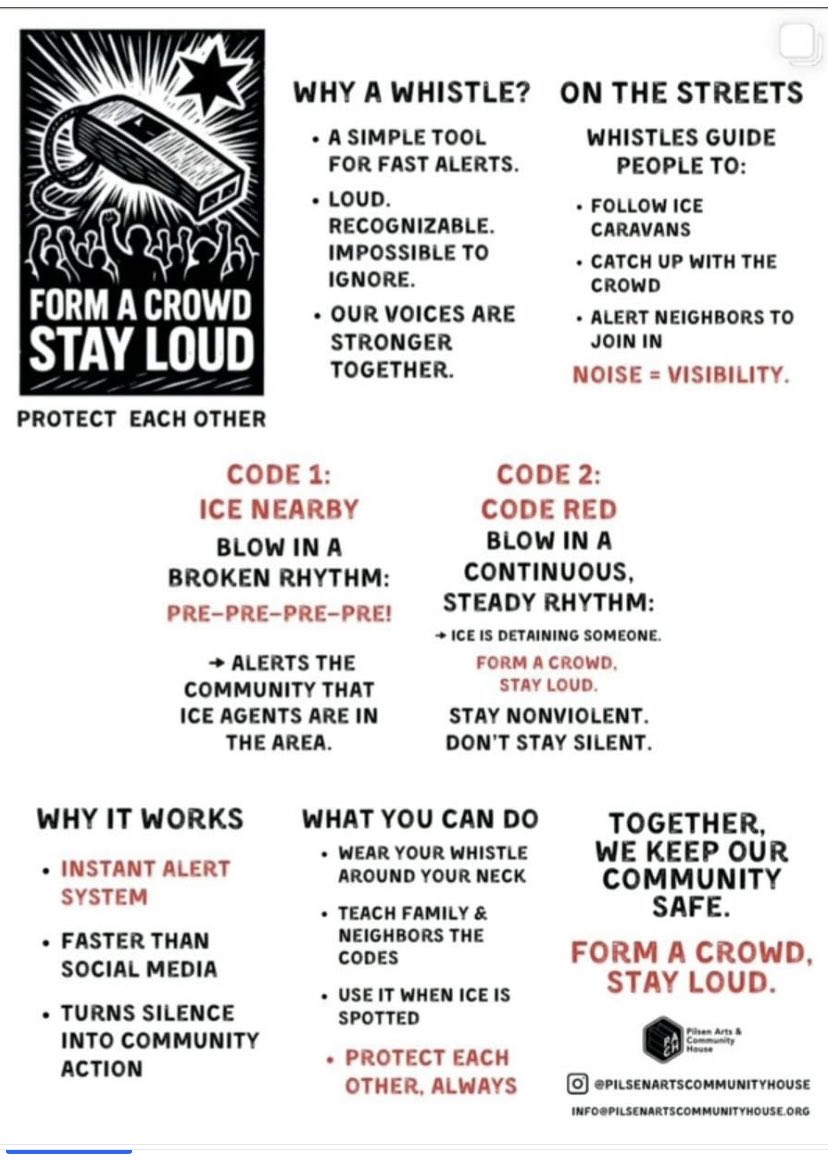 Cyndy DeFily tweet media