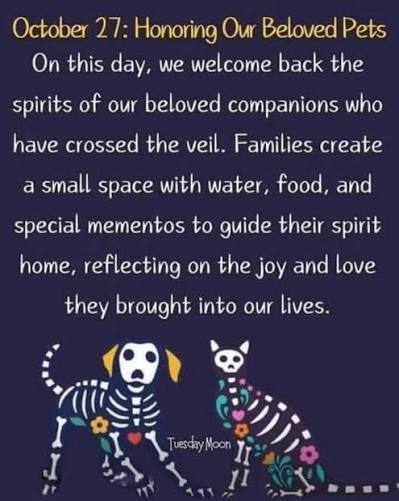 Pals, while we are not deeply educated on this tradition, we started it after Jello's passing and this will be our first ofrenda to welcome Hankface too. We would love to know and see if other pals will be creating any reflective spaces for their angel babies! 🙏🏼📿🦴🥎🐶😇