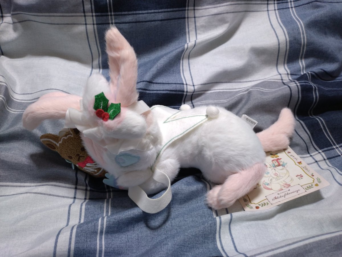 ぬいぐるみ Pokémon Holiday Blessings ニンフィア×20 ぬいぐるみ Pokémon Holiday Blessings ニンフィア ｜【公式