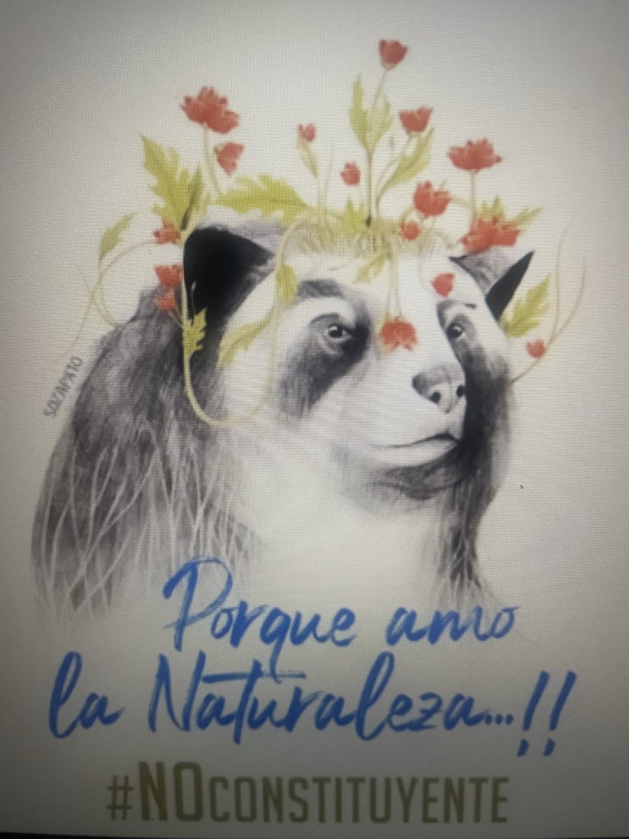 <a href="/Filosofocar/">Psic. Carlos Silva Koppel</a> Ahora ¿qué podemos hacer con nuestra salud mental los que no votamos por este gobierno criminal porque sabíamos lo que venía y fue hasta peor?😭