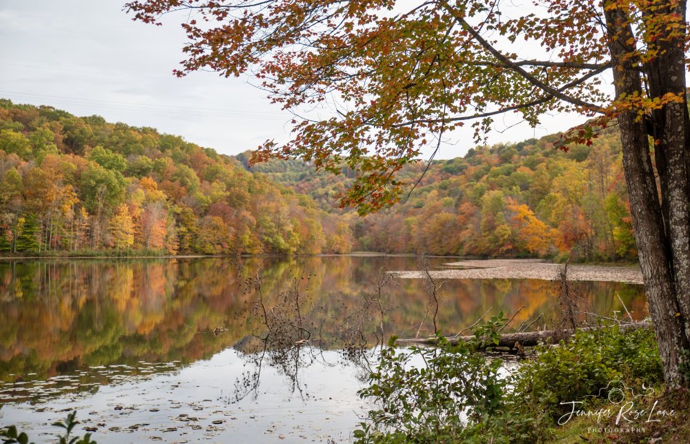 Jens_Starry_Sky's tweet photo. Fall foliage at Plum Orchard Lake in Fayette County, WV this past Saturday! I love those reflections 😍🍂🍁 #FallinWV #WV #seasons #October #autumn #WVLakes @ThePhotoHour @SpencerWeather @WSAZBrandon @GaudetWeather @GoToWV https://t.co/wyuid4cRuW