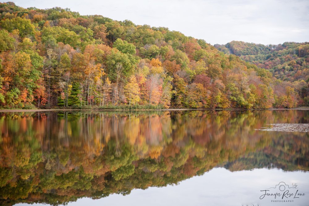 Jens_Starry_Sky's tweet photo. Fall foliage at Plum Orchard Lake in Fayette County, WV this past Saturday! I love those reflections 😍🍂🍁 #FallinWV #WV #seasons #October #autumn #WVLakes @ThePhotoHour @SpencerWeather @WSAZBrandon @GaudetWeather @GoToWV https://t.co/wyuid4cRuW