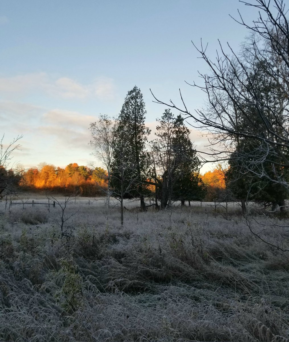 Frosty morning on way in today.