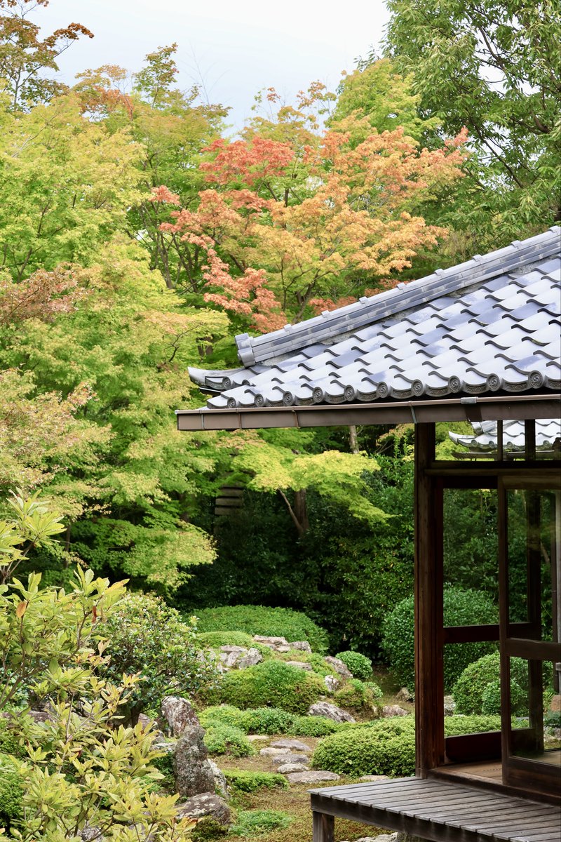 Kaori様 かぶせ長財布 / FUJITAKA（フジタカ）公式 / オイルコードバン