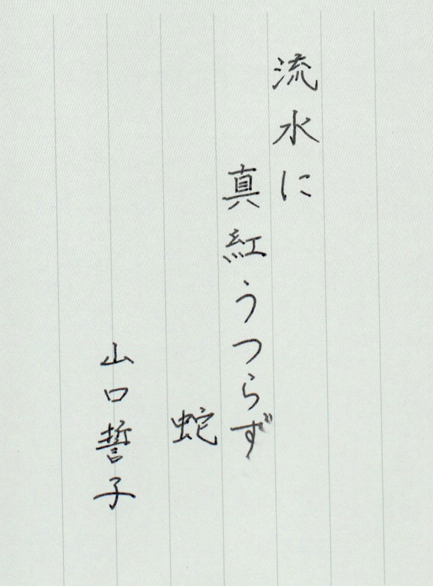 【希少！】あなたの心に幸せの種をまくTEAM KAPPAのシャングリラからの伝言 希少！】あなたの心に幸せの種をまくTEAM KAPPAのシャングリラからの