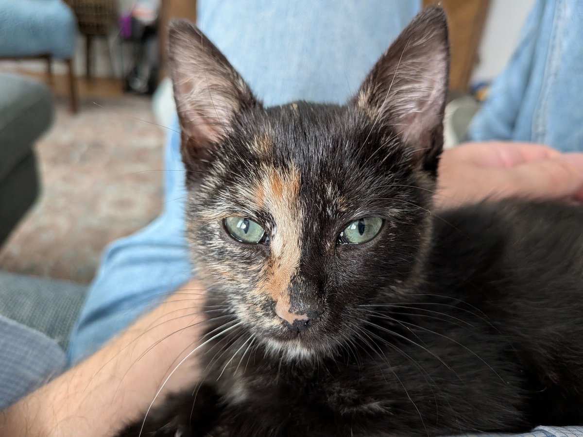 Gray Kimbrough tweet media