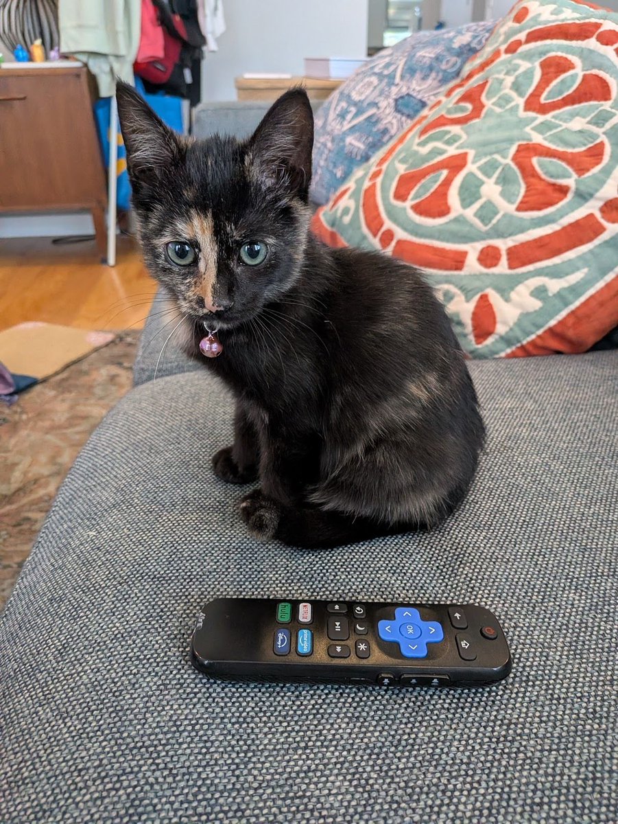 Gray Kimbrough tweet media