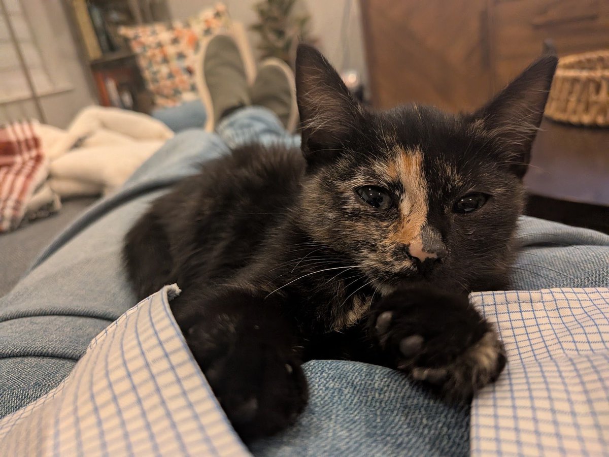 Gray Kimbrough tweet media