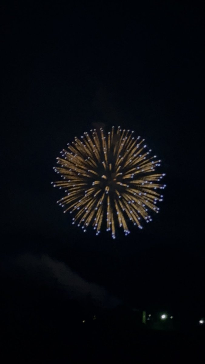 いーちゃん🐦鳥等観察中🕵️‍♀️ 🐦 🐤🐧 on X