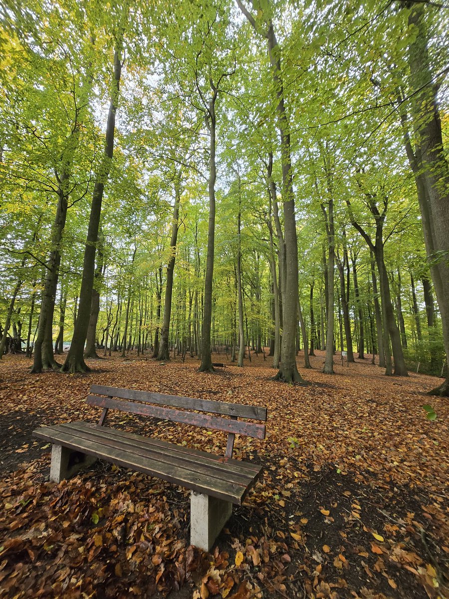 Nuestro silencio,solo nuestro🇩🇪💚