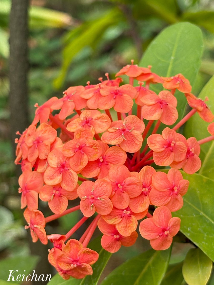 けいちゃん on X