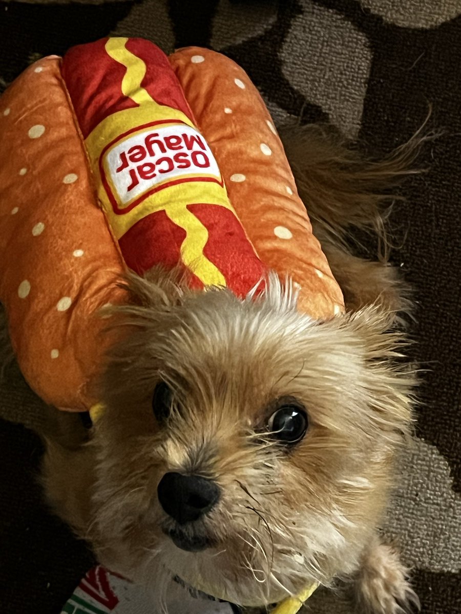 Madison Twatter, PhD. tweet media