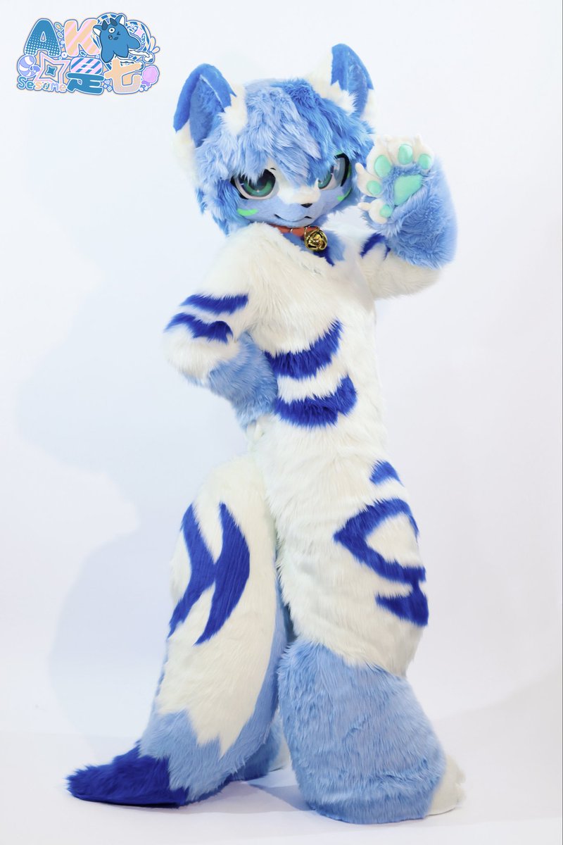 Maru & Mirua Furry 🎃 (@eambumrungsagul) / Posts / X