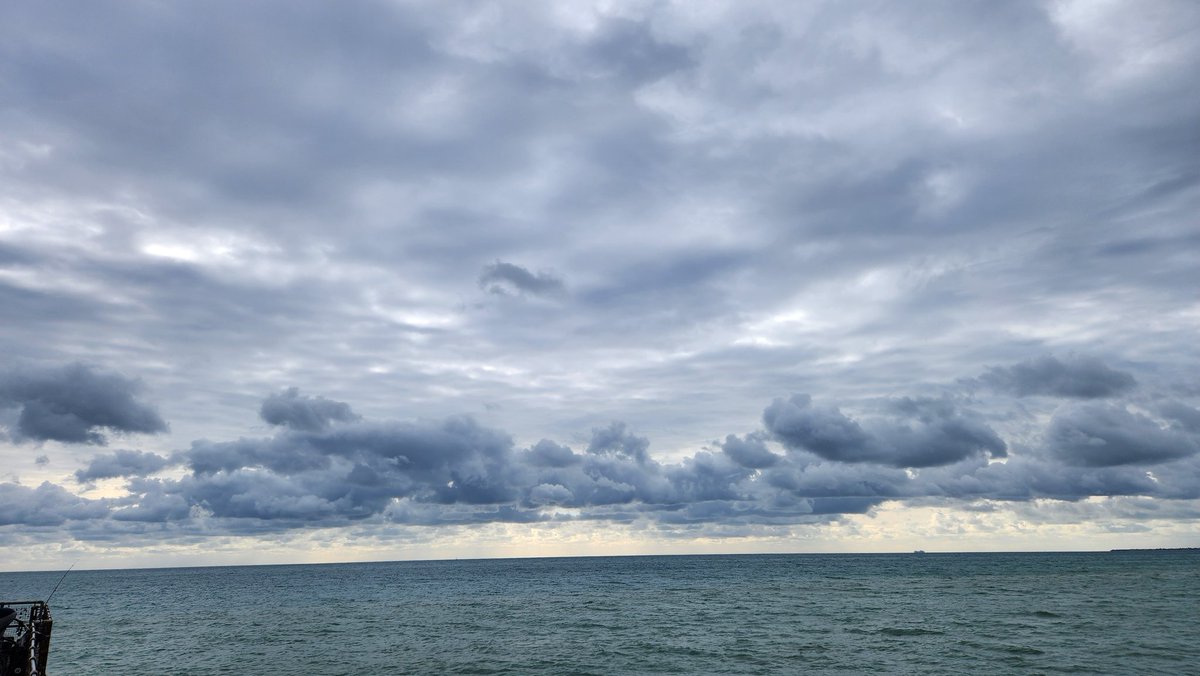 NBAFanSC23's tweet image. Sunday morning Dog walks are the best 👌 👍