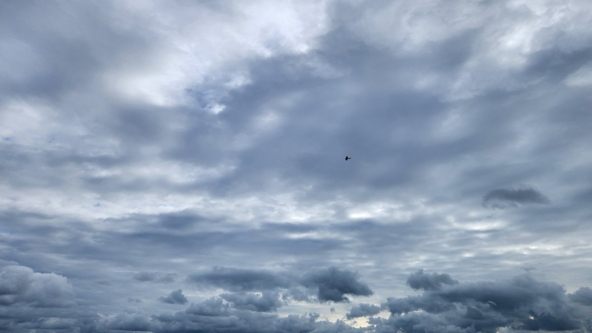 NBAFanSC23's tweet image. Sunday morning Dog walks are the best 👌 👍