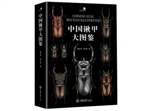 insectech 昆虫採集と標本用品の専門店 動物の惑星フィギュア日本正規