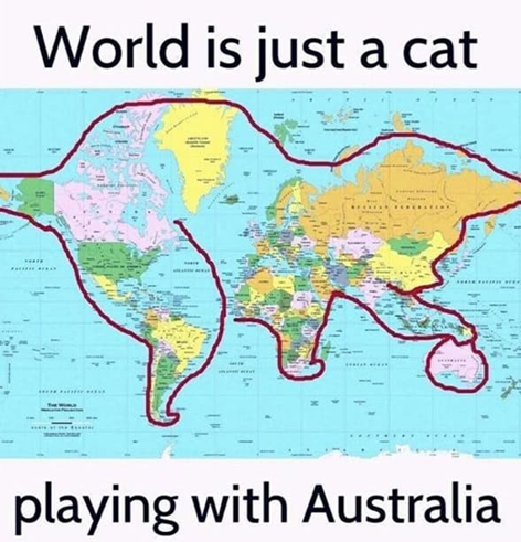 FlissZak's tweet image. To all 'catty' people out there and especially for my good cat-buddy, @CatnPitEWrnglr, AKA Flaco.  Good to know! 
#WritingCommunity #poetrycommunity #readingcommunity #bookworms #CatsOfTwitter #cats #Cat #CatsOfX