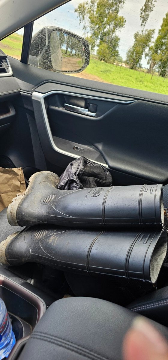 Yendo a votar: 175 kilómetros para llegar del campo hasta la ciudad de C. Casares.
Difícil esta votación para los ciudadanos de la ruralidad. Difícil TODO.

Que el esfuerzo valga la pena <a href="/eugetale/">Maria Eugenia Talerico</a> <a href="/intialpert/">Inti Alpert - JB Alberdi, M Moreno y DF Sarmiento</a> <a href="/SofideHagen/">Sofía de Hagen</a> 
<a href="/PotenciaBA/">Potencia</a>